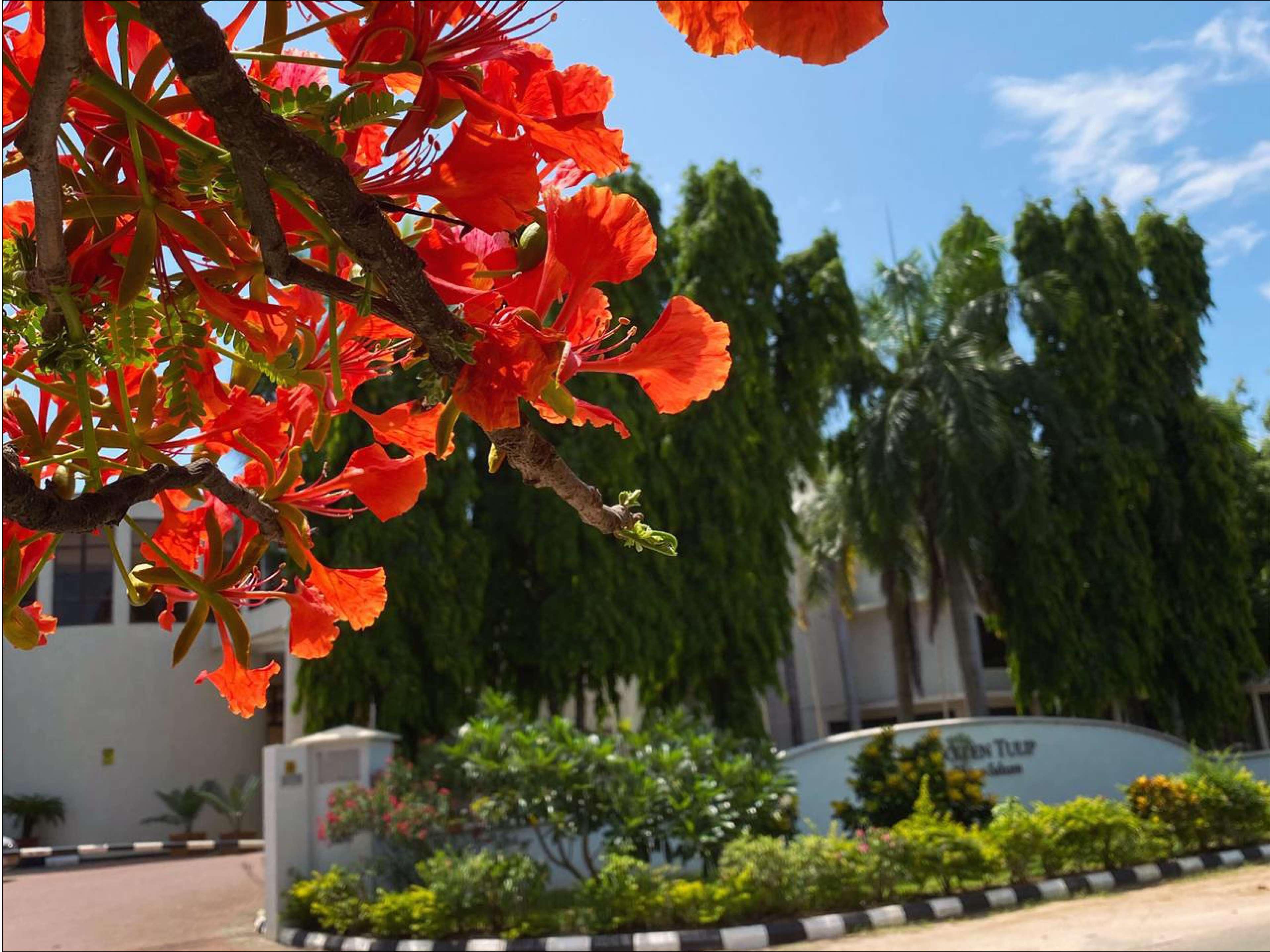 Hotel Golden Tulip Daressalam Exterior foto