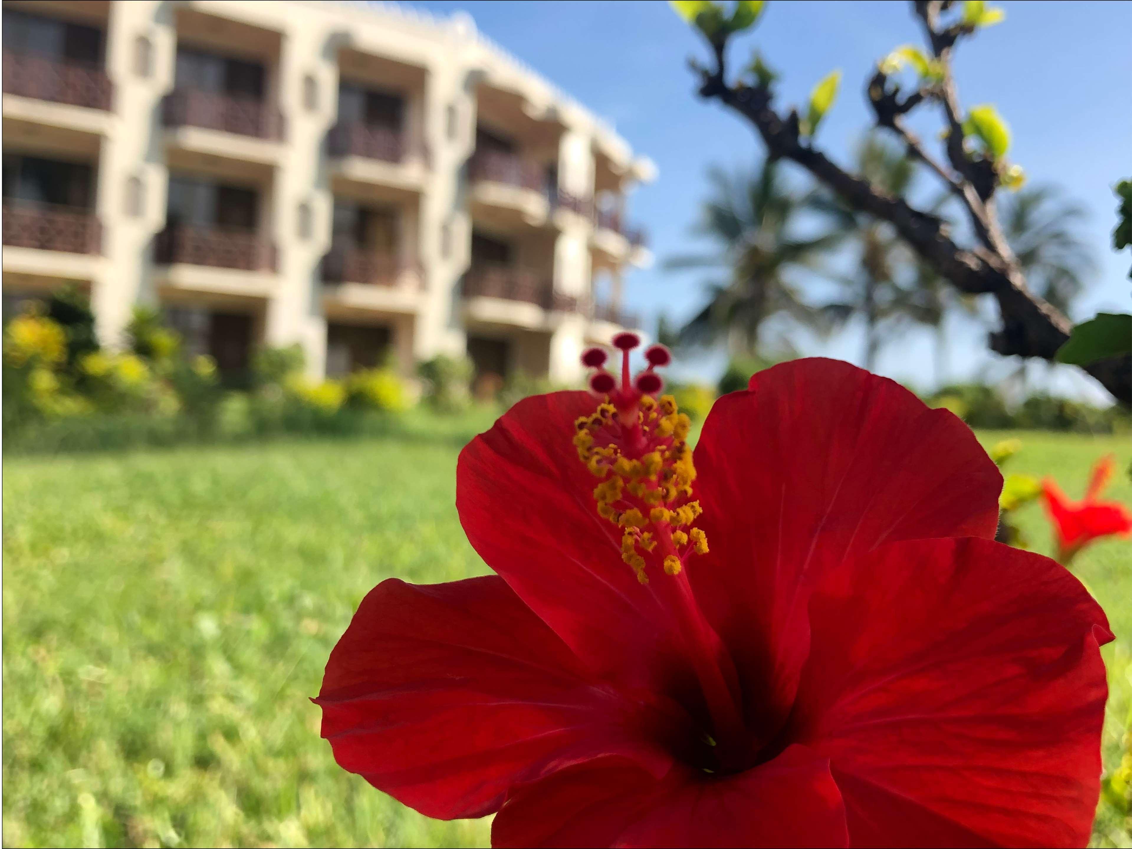 Hotel Golden Tulip Daressalam Exterior foto